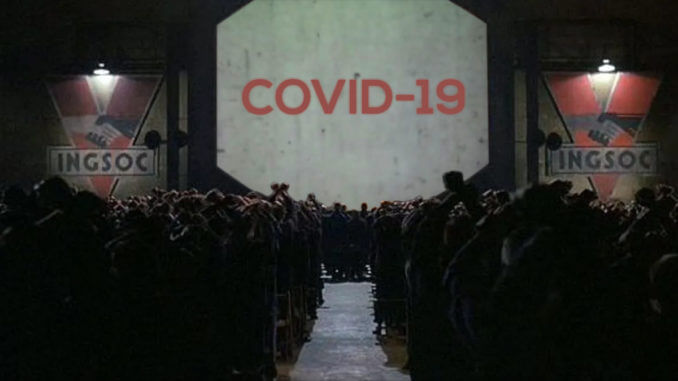 COVID-19 - CUI BONO