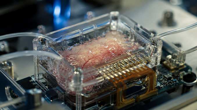 Futurist Mike Adams: tehisintellekt liigub ränikiipidelt bioloogilise andmetöötluse poole